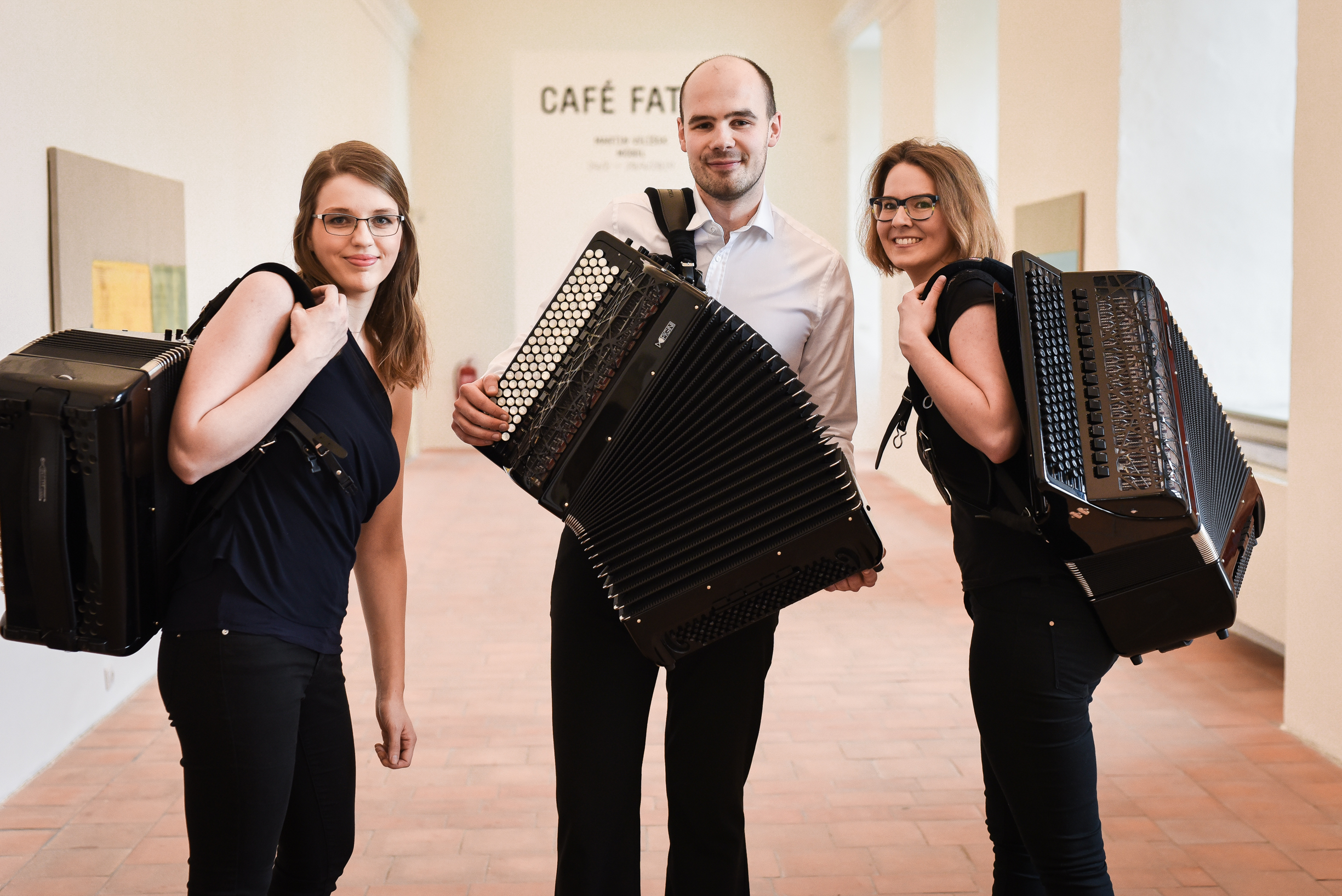 Check Accordion Trio 1